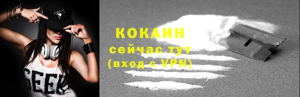 кокс Богородицк