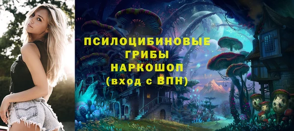 кокс Богородицк