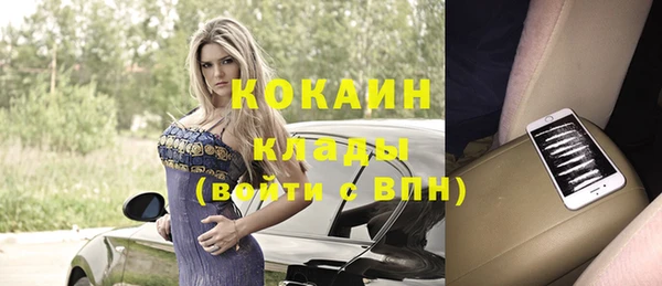 кокс Богородицк