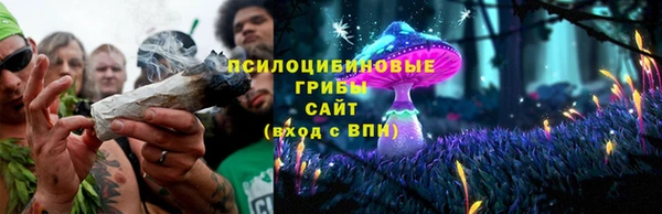 прущая мука Богородск