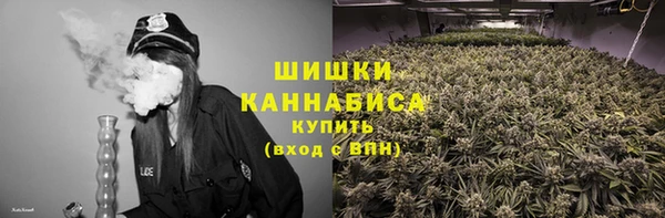 кокс Богородицк