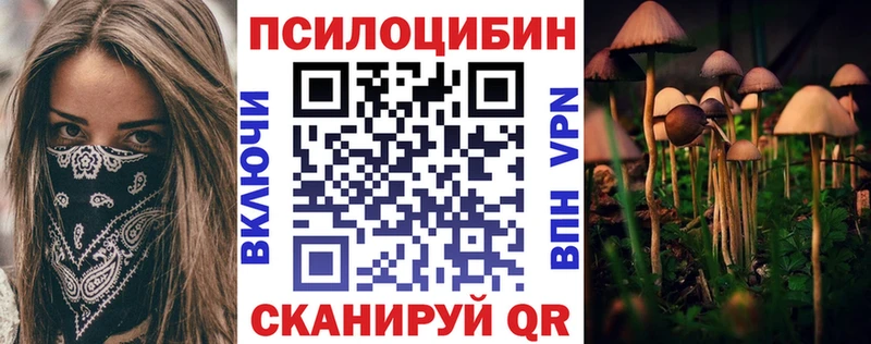 Псилоцибиновые грибы GOLDEN TEACHER  Кузнецк 