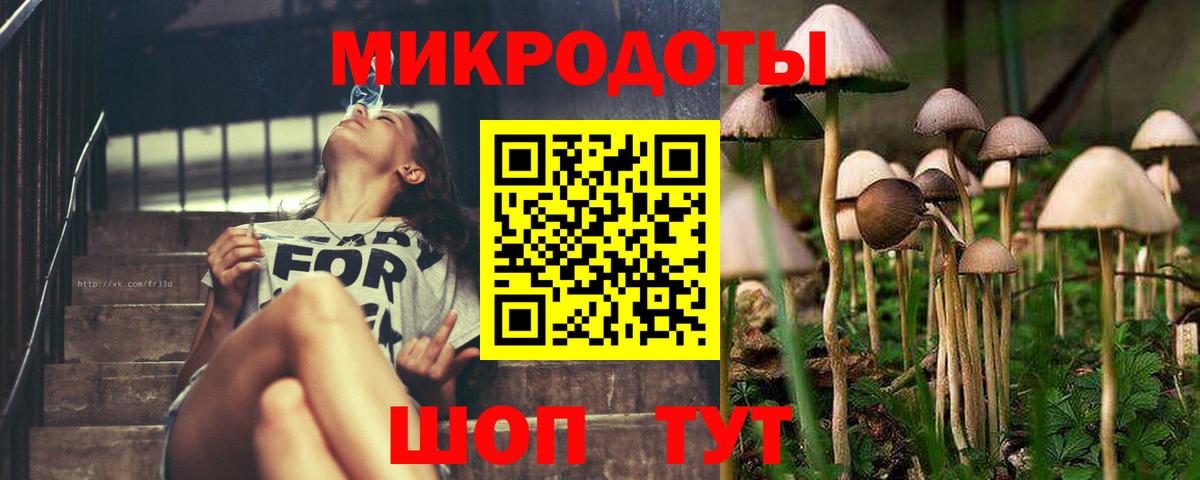 Галлюциногенные грибы Psilocybine cubensis  Вход с VPN  купить наркотик  Кузнецк 
